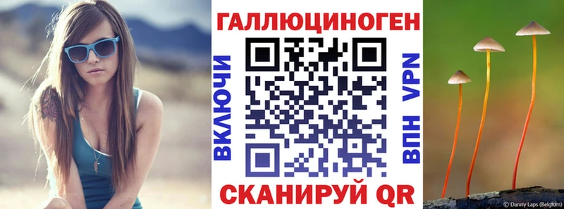 купить наркотик Пустошка Псилоцибиновые грибы Magic Shrooms